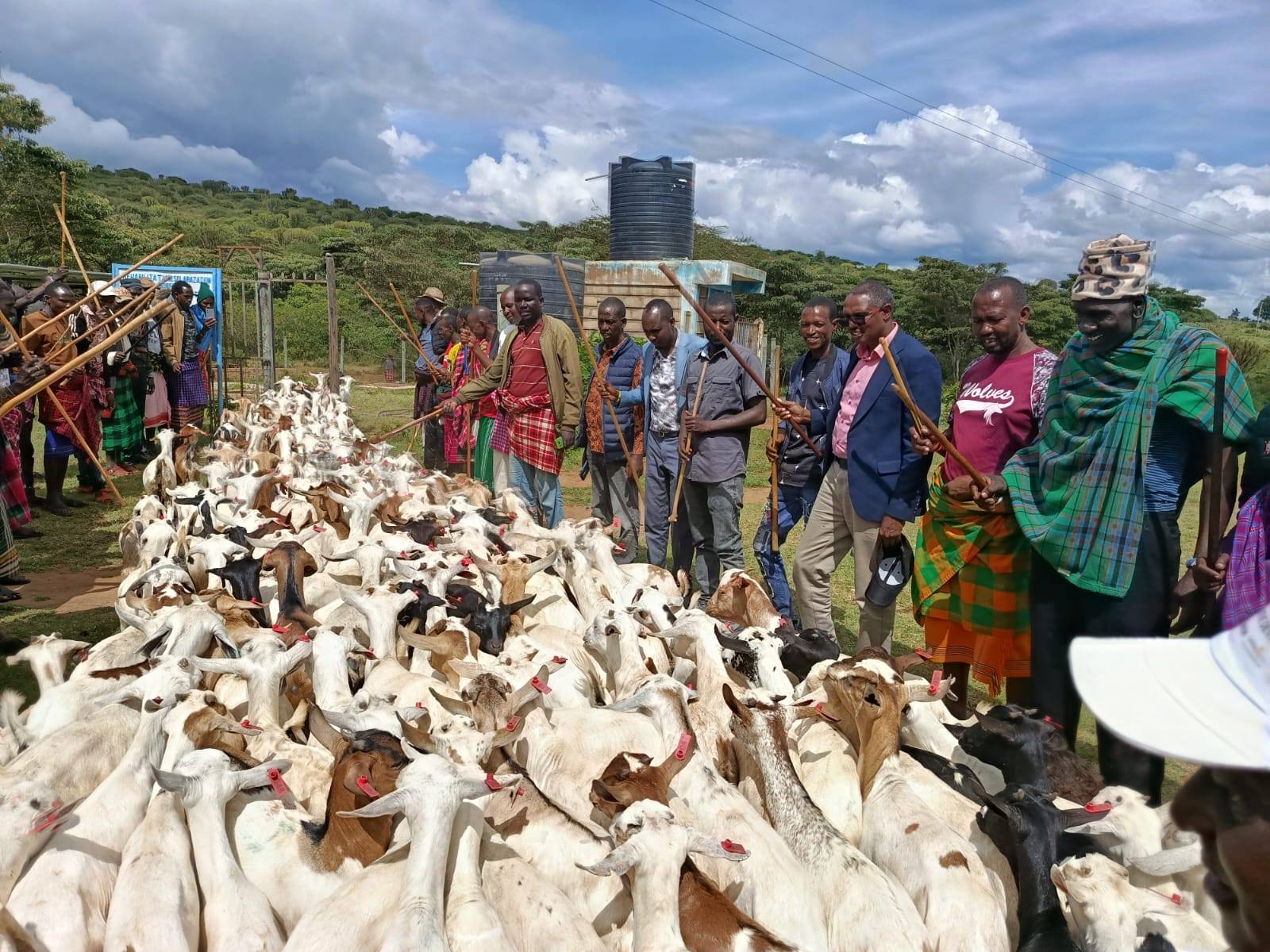 County Hands Over 150 Galla Goats to Strengthen Livestock Farming in Samburu
